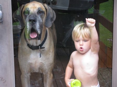 Bridgets Son Garrett with my Great Dane Rex