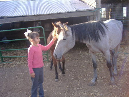 9 year old grandaughter and 2 mustangs i own.