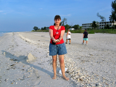 Shelling on Sanibel Island Florida