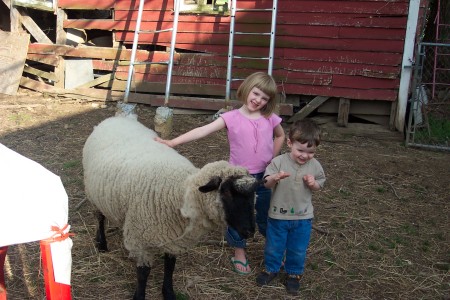 April 2005 Sara-Jane, James & our show sheep Stars!