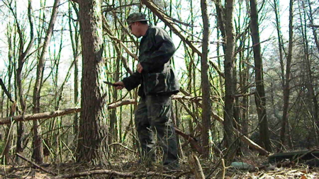 Getting Pine sap