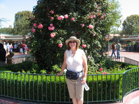 Me in Disneyland June 2007