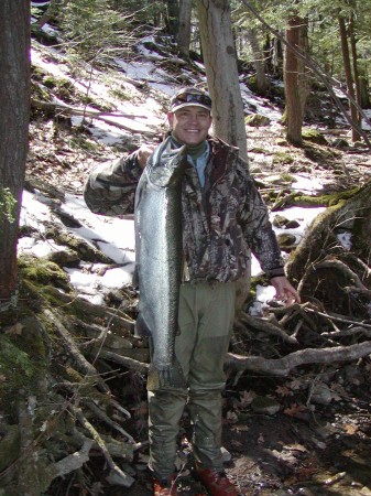 New York Steelhead