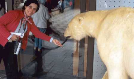 Polar Bear, Oslo, Norway