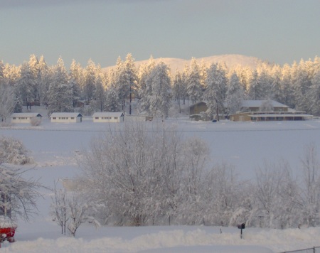 Early morning sun on snowy tree tops