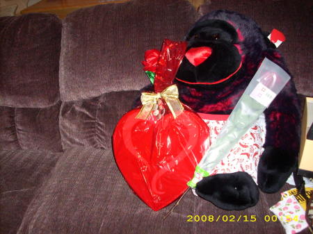 VALENTINES 2008