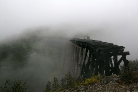 traintrackfog