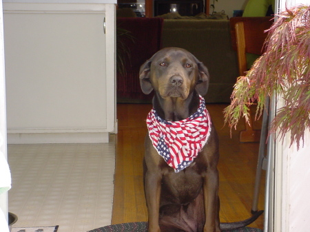 Patriotic Emma