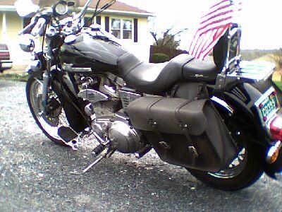 Harley Black Rear view