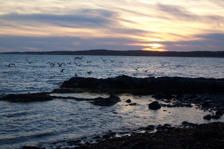 Point Michaud Beach, Cape Breton