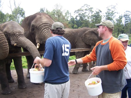 My brother-in-law with elephants in South Africa