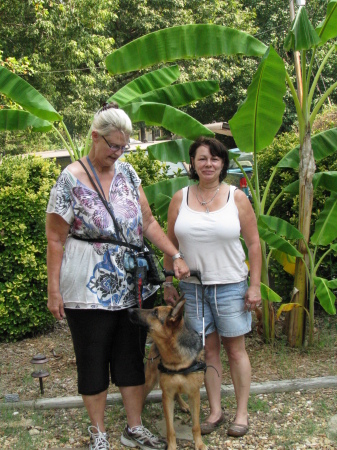 jan with MS service/balance mobility dog I trained obed. and Debbie trained harness