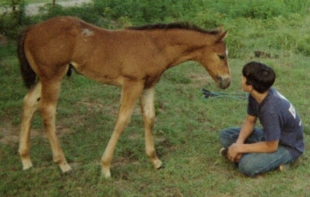 Derric & Durango