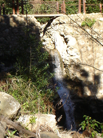 Santa Barbara Botanical Garden