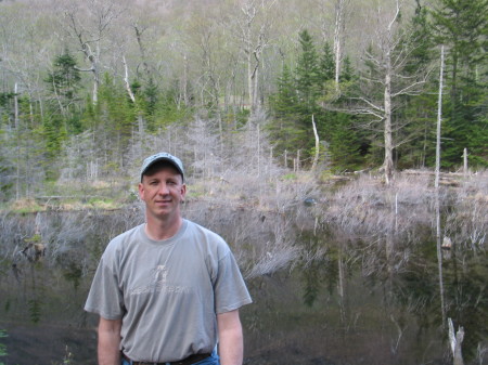 Hiking in the White Mountains