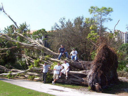 Cleanup from Hurricane Wilma