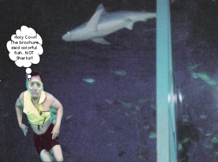 Dewey swimming with Sharks