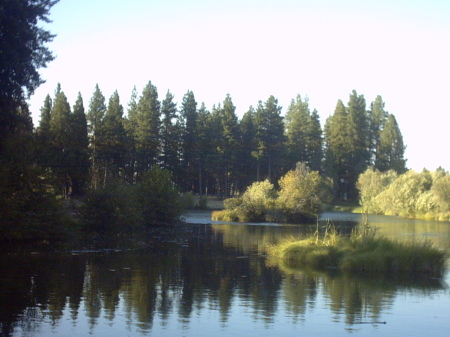 Pond near where we camp