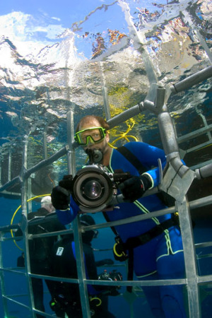 White Shark Diving