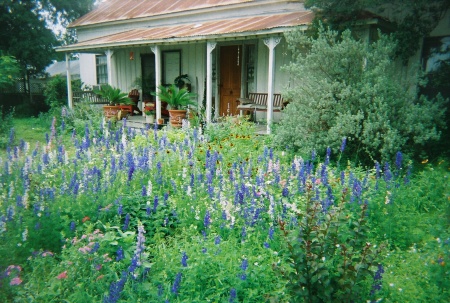 My old Texas Farmhouse