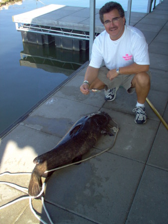 Flat Head Catfish