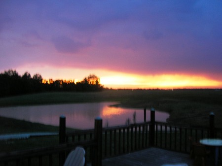 the sunset out my back door