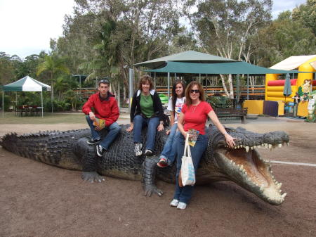 Replica of a Real Crocodile (giant!)