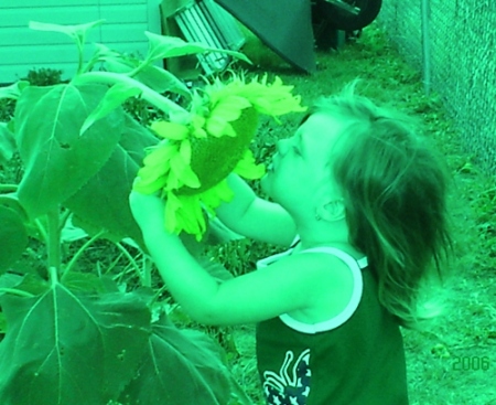 audrey and sunflower