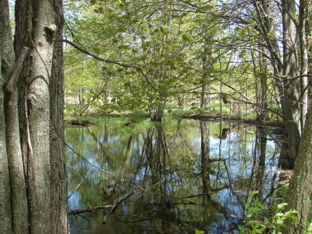 My Walden Pond