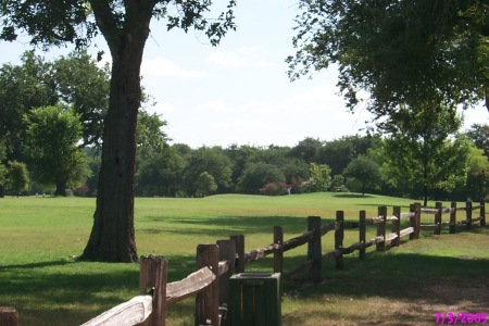 Golfing Bastrop