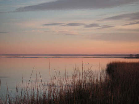 The Peconic Bay at sunrise