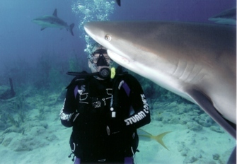 My shark dive in Bahamas Dec 2004