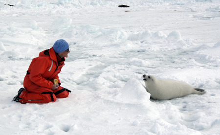 Me with Harp Seal pup