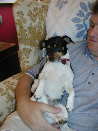 Our Jack Russell Terrier, Lucky!