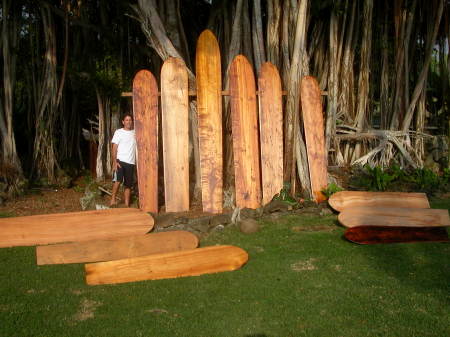 surfboards 059