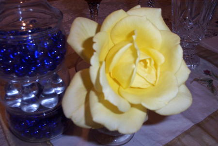 dec.table , yellow rose