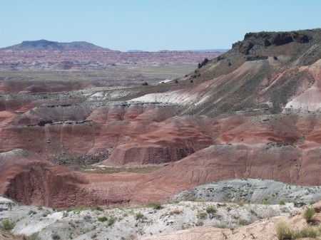 Sam refuses to take picture at Painted Desert