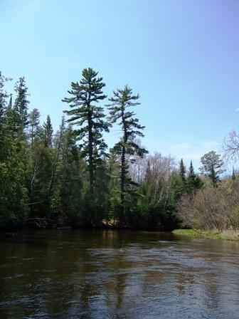 Au Sable River