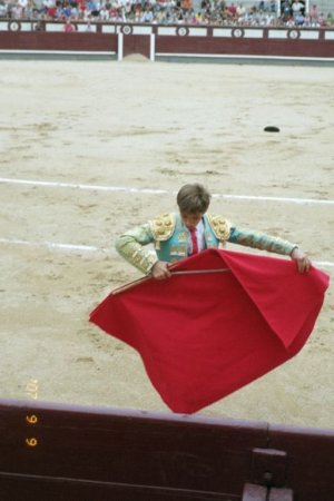 madrid toreros martin de vidales