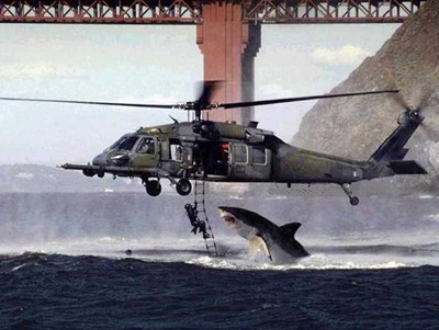 shark_helicopter