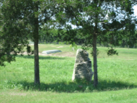 Front/South pasture