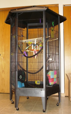 The Sugarglider Palace