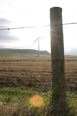 Wind energy and the fencline