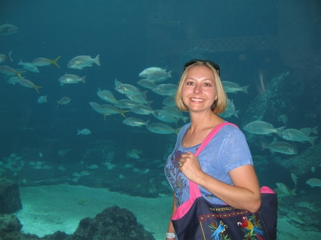 Atlantis aquarium on Paradise Island, Bahamas (Oct. 2007)