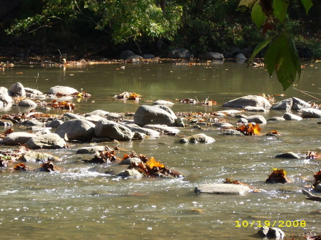 Mississinewa River