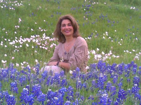 bluebonnets of TX