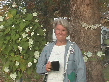 me in front yard with morning glories