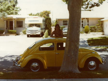 1960 Bug