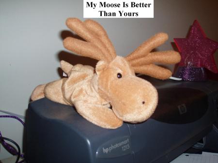 My moose