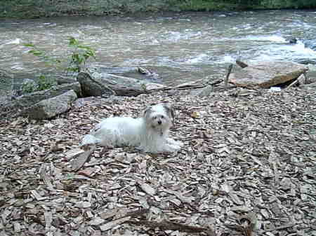 Chilling By The River